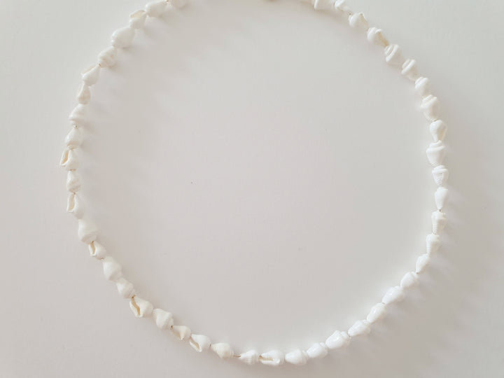 Collar Shells